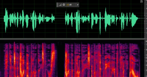 Waveform and Spectral Display