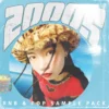 Y2k Sample Pack